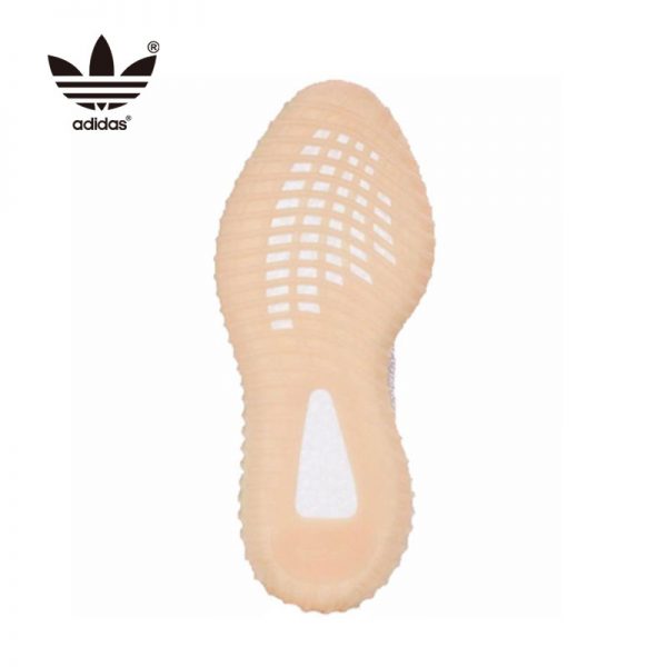 Adidas Yeezy 350 Synth Reflective 亞洲限定 全反光 粉色滿天星 FV5666